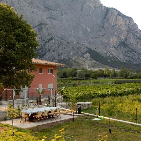 Holiday Apartments Giulia - Green Pietramurata Exterior foto